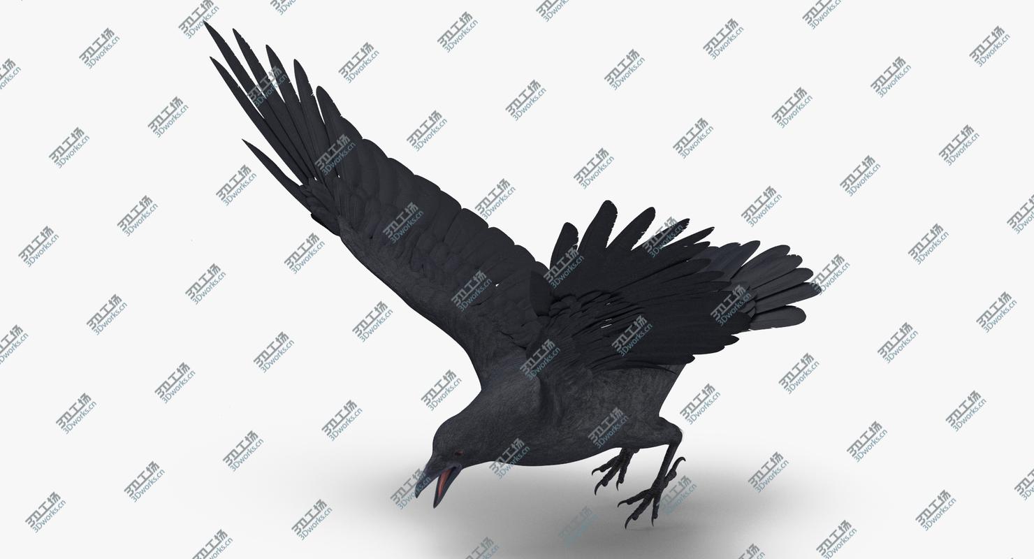 images/goods_img/2021040232/Crow 02/3.jpg